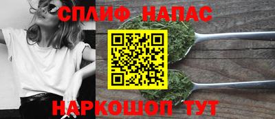 шишки Кинель