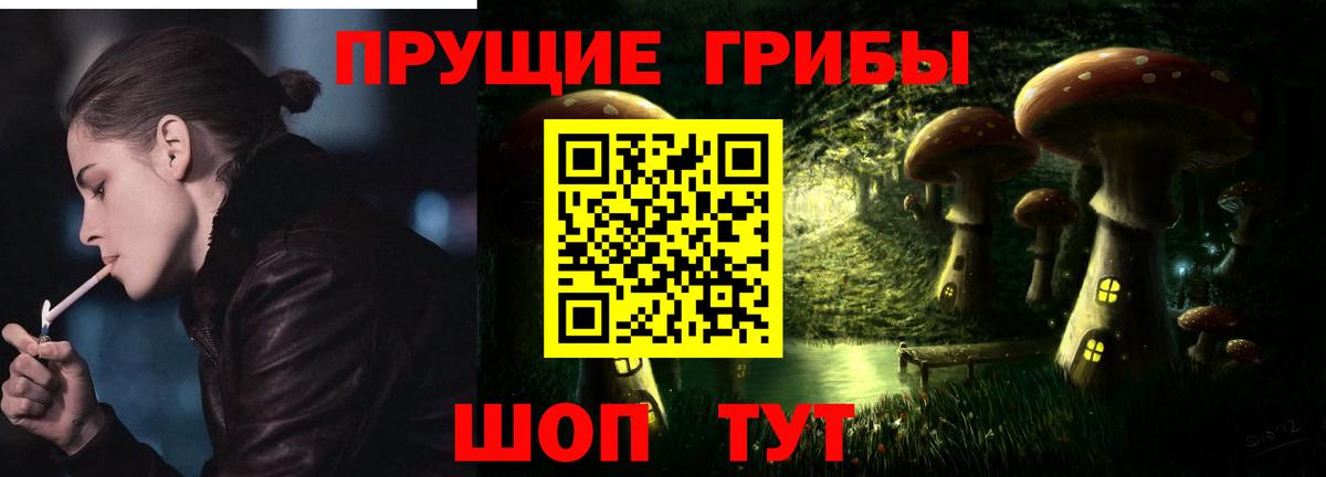 Чайковский  Галлюциногенные грибы Magic Shrooms  Вход с VPN 